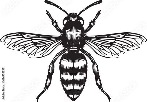 Detailed black and white illustration of a wasp vector image showcasing intricate details and elegant design for various creative projects