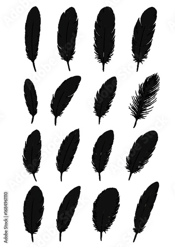 set of black silhouettes of feathers