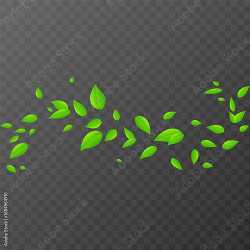 Flying green leaves on a transparent background. Vector illustration
