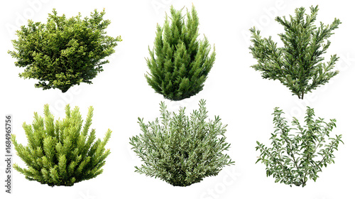 Collection of Lush Green Shrubs with Varied Textures on Transparent Background