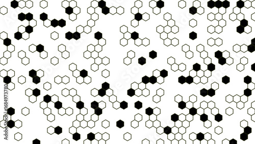 Intricate pattern of black and white hexagonal shapes creating a textured background.