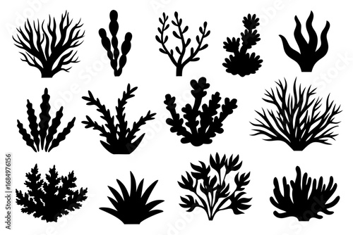 set of algae black silhouette  vector ,algae icon set