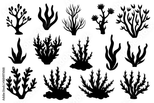 set of algae black silhouette  vector ,algae icon set