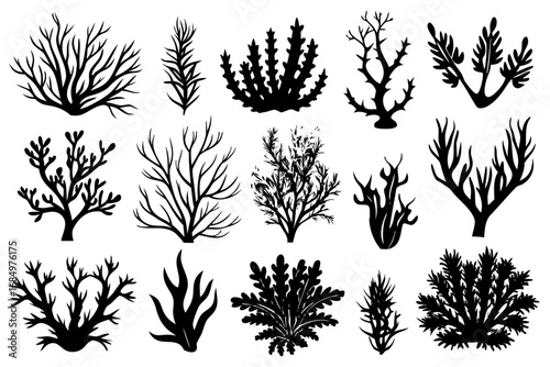 set of algae black silhouette  vector ,algae icon set