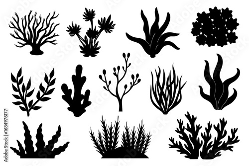 set of algae black silhouette  vector ,algae icon set
