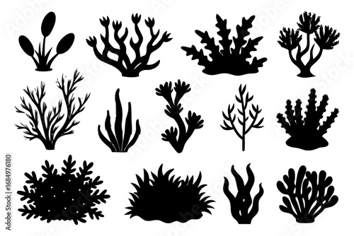 set of algae black silhouette  vector ,algae icon set