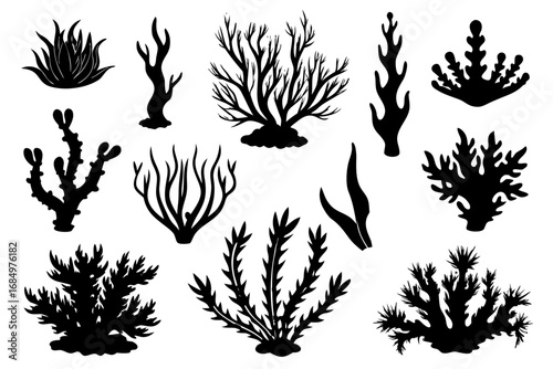 set of algae black silhouette  vector ,algae icon set
