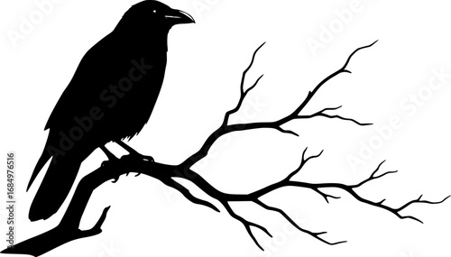 A stark black and white silhouette of a crow perched on a branch showcasing its distinctive form and texture silhouette
