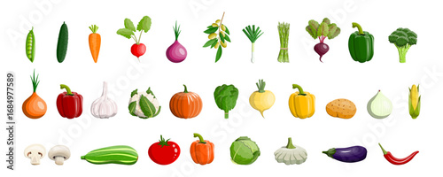 Wallpaper Mural Assortment of fresh garden vegetables. Natural organic food for healthy diet. Farm harvest collection in flat style for market banner. Torontodigital.ca