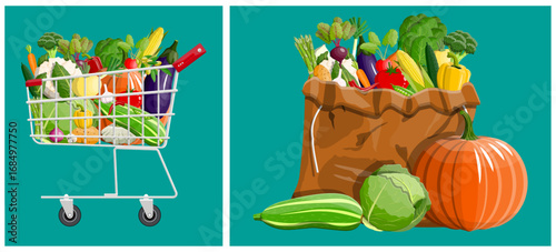 Shopping cart full of fresh harvest vegetables. Groceries bag with organic food. Healthy eating and market concept for food store.