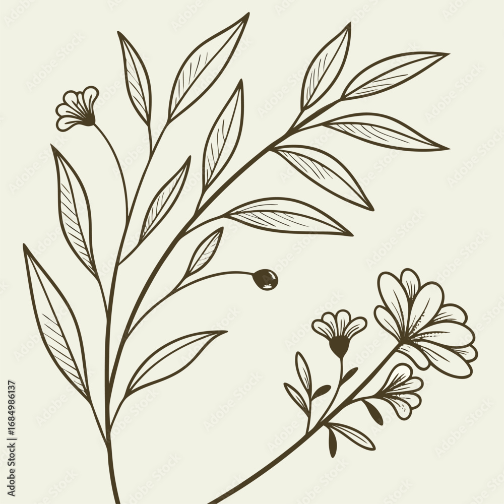 Fototapeta premium minimal botanical graphic sketch drawing vector template