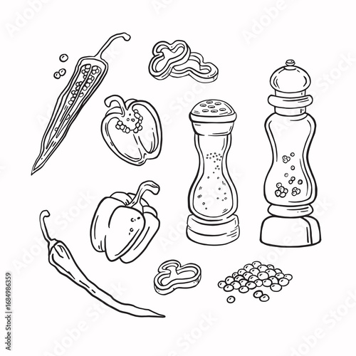 set of peppers spices sketch monochrome vector