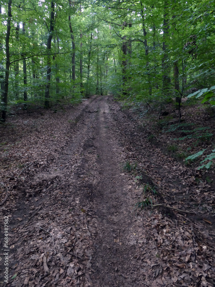 Obraz premium Abschnitt Bamberg bis Reundorf