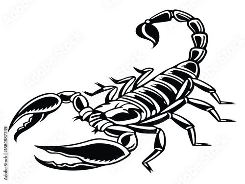 scorpion vector illustration