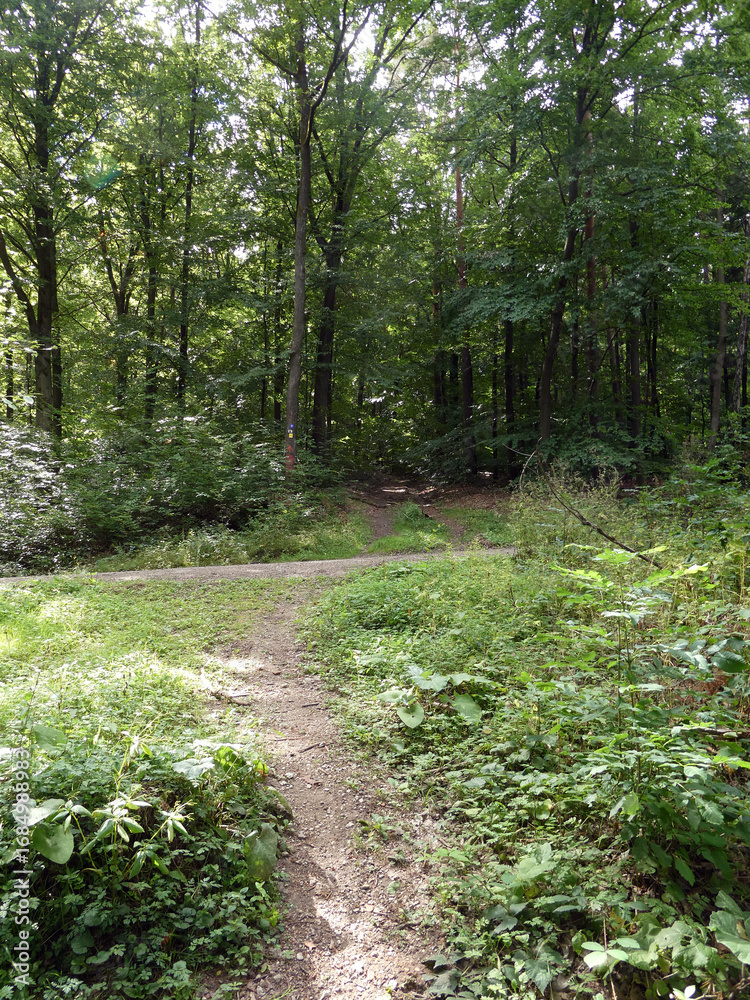 Obraz premium Abschnitt Bamberg bis Reundorf