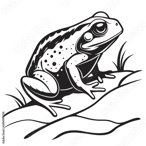 Monochrome Illustration of a Frog Perched on a Root with Detailed Spots and Elegant Black and White Shading