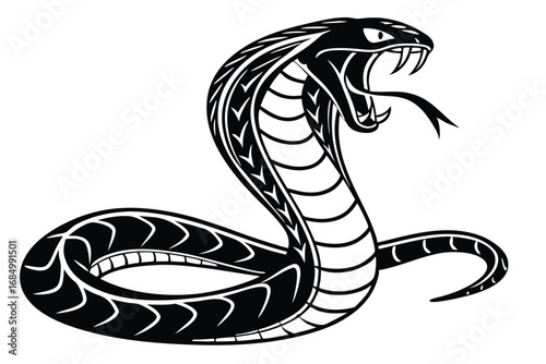 A Striking Black and White Cobra Illustration Depicting Aggression and Majesty in a Stylized Tribal Tattoo Aesthetic