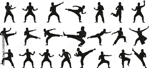 Martial arts silhouette, karate training, kung fu fighter, self defense practice, kickboxing moves, martial artist, combat sports, fitness exercise