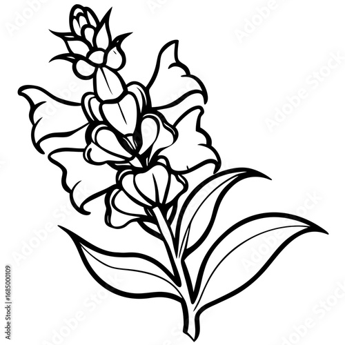 Snapdragon Bloom Vector Art