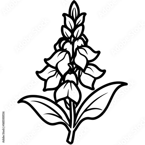 Snapdragon Bloom Vector Art
