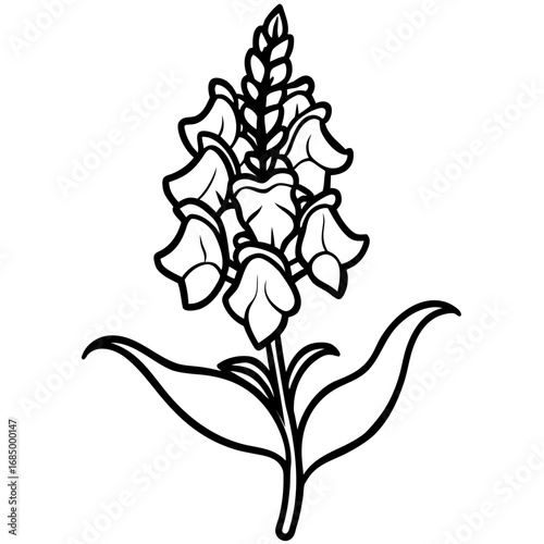 Snapdragon Bloom Vector Art