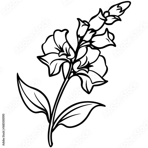 Snapdragon Bloom Vector Art