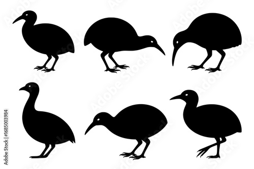 Eight Bird Silhouettes: Kiwi and Rail Variations in Black on White