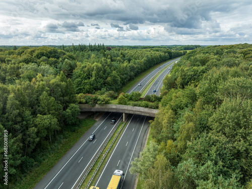 aerial view of a wildlife viaduct