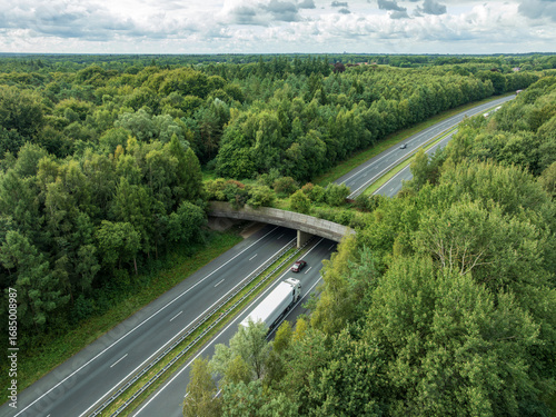 aerial view of a wildlife viaduct
