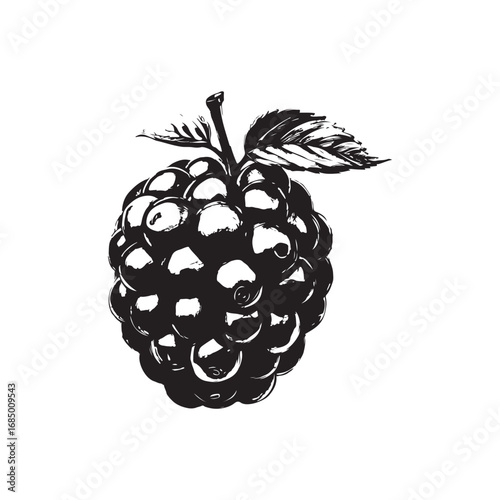 Blackberry Vector (2).eps
