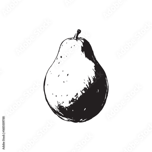 Cantaloupe Vector (4).eps