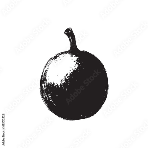 Passion Fruit Vector (3).eps