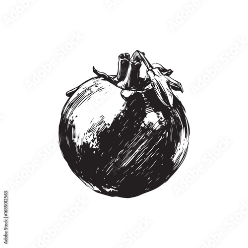 Passion Fruit Vector (4).eps