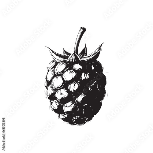 Raspberry Vector (2).eps