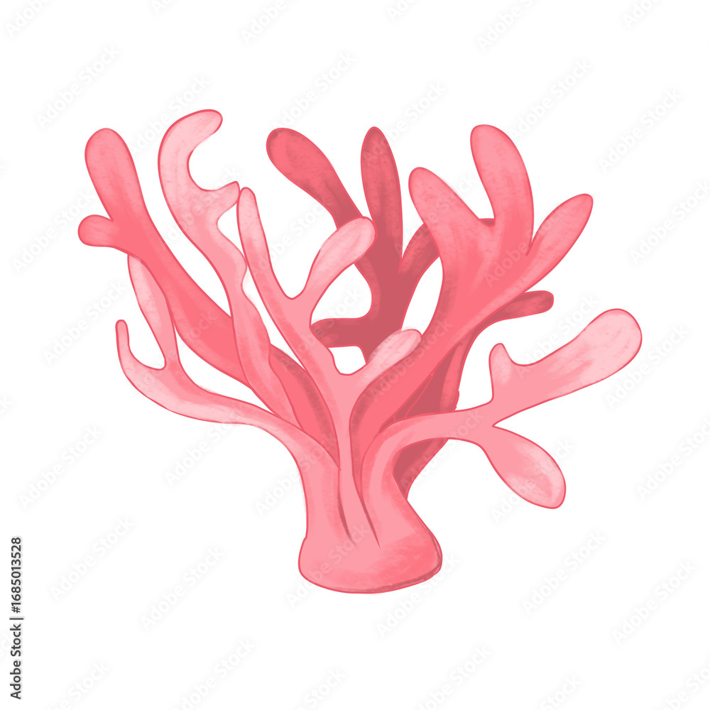 Obraz premium seaweeds