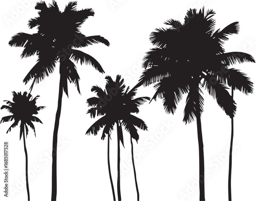 Silhouette of Palm Trees on a White Background Tropical Island Vacation Dream Black and White Illustration