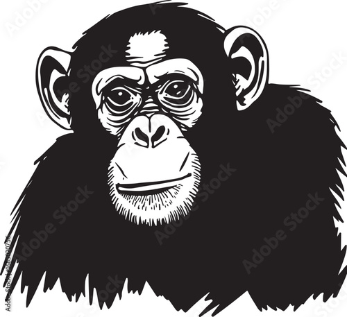 Striking Black and White Illustration of a Chimpanzee Portrait Detailed Wildlife Art Design Featuring an Ape Primate