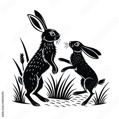 Two Black Rabbits Standing on Hind Legs in a Grassy Field, Facing Each Other