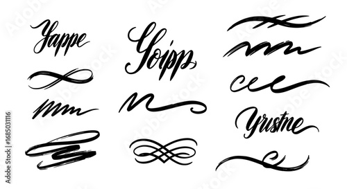 Calligraphy decorative flourish swirl ornament hand drawn vector graphic design illustration art set letter text