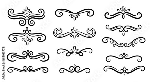Calligraphic divider element flourish scroll ornament vector graphic design art illustration ornate decorative separator text divider line