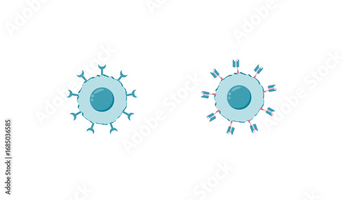 T cell receptor (TCR) or Chimeric antigen receptor (CAR) T-cell therapy. Cancer therapy. T cell receptor proteins that have been engineered to kill cancer cells. vector illustration.	