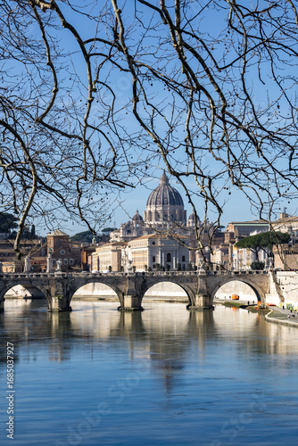 view of saint Peter's Basilica in Rome	