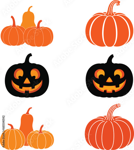 Halloween pumpkins and gourds in orange and black vector