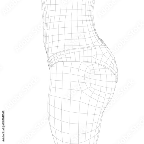 A girl's 3D model with a wireframe body structure, wearing panties, showcasing digital anatomy and modeling techniques.