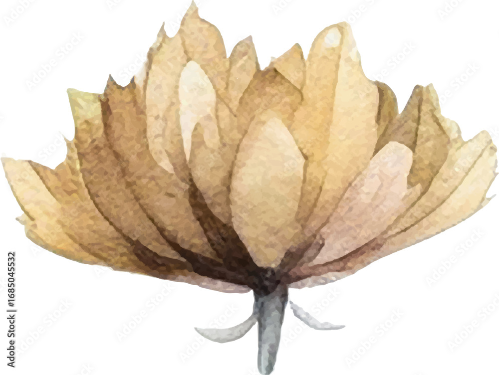 Fototapeta premium Vector Watercolor painted flower. Hand drawn flower design elements isolated on white background.