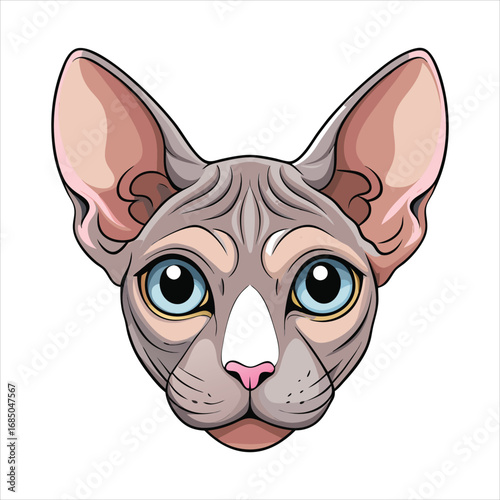 Adorable Cute Sphynx Cat