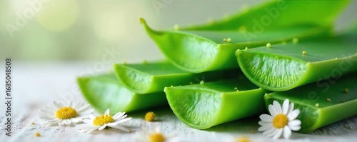 Close-up of fresh, green aloe vera leaves and soothing chamomile flowers, ready for natural skincare preparation ,  healing,  nature,  calming