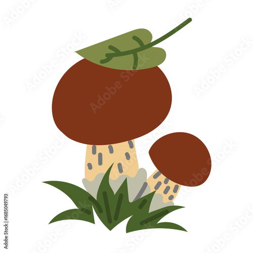 White mushrooms, birch mushrooms. Flat color isolated illustration. Forest subject. Collecting mushrooms. Two mushrooms grow under leaves in the grass. Design for postcards. Picnic, hike, walk forest