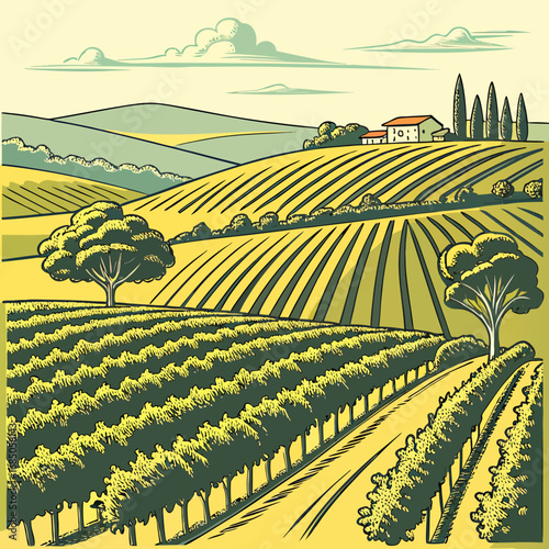 Stylized illustration of rolling hills covered in vineyards and a distant farmhouse