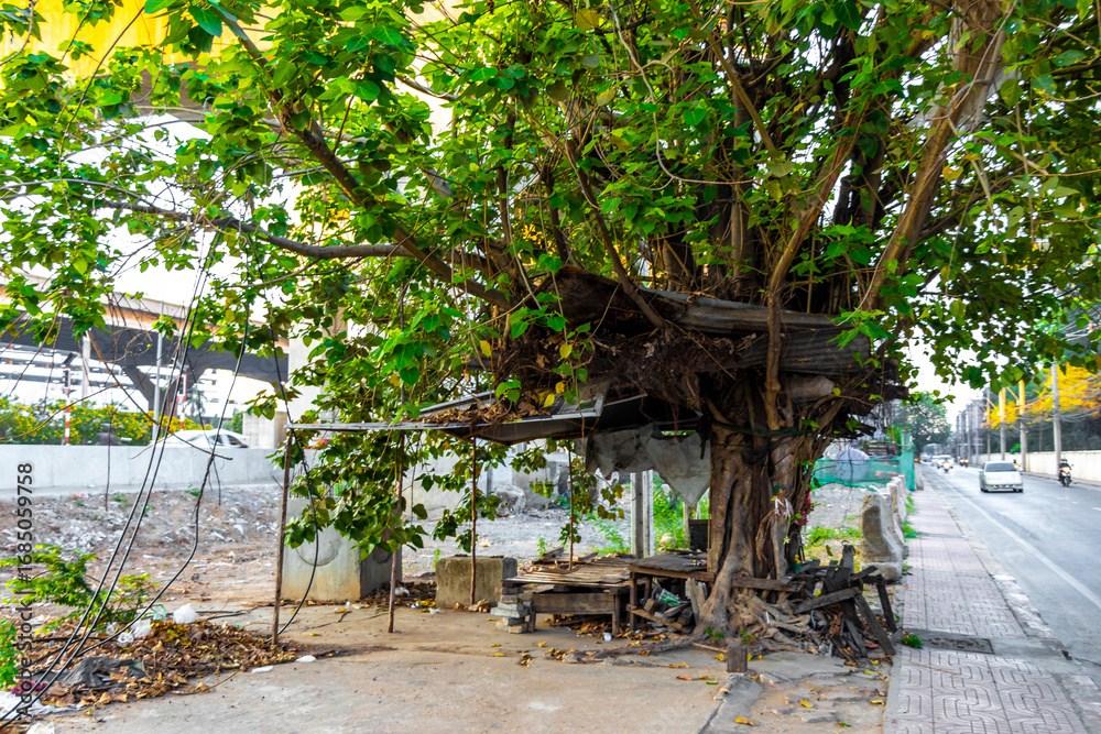 Obraz premium Covered wooden benches under tropical trees in Bangkok Thailand.